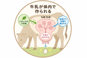 44e560b9-5c24-430f-ab5d-f933a57c8e4d